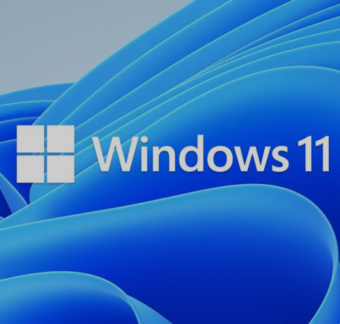 nadelen windows 11