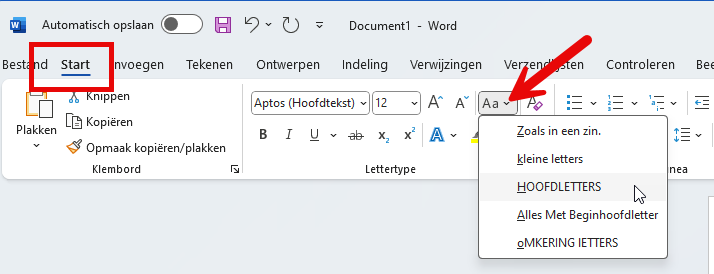 hoofdlettergebruik
